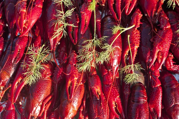 Peixes de lagosta — Fotografia de Stock