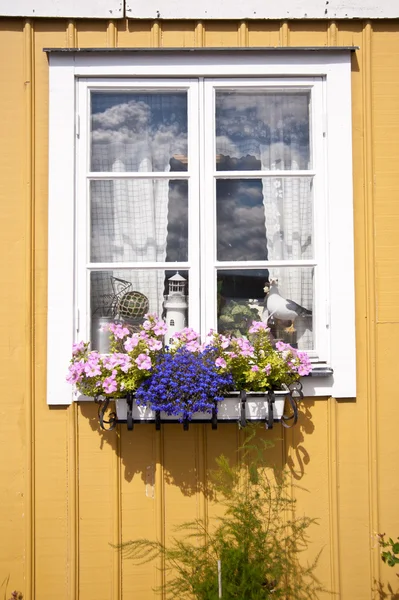 Swedish House — Stock Photo, Image