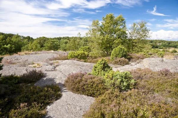 Archipelago — Stock Photo, Image