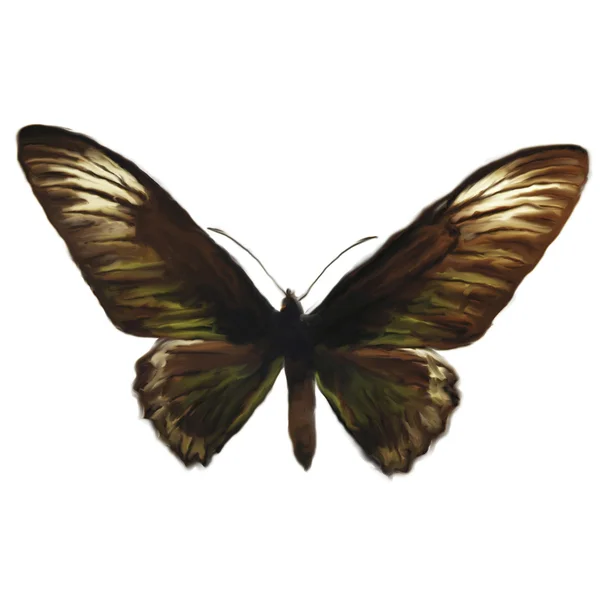 Pintura digital de una mariposa — Foto de Stock