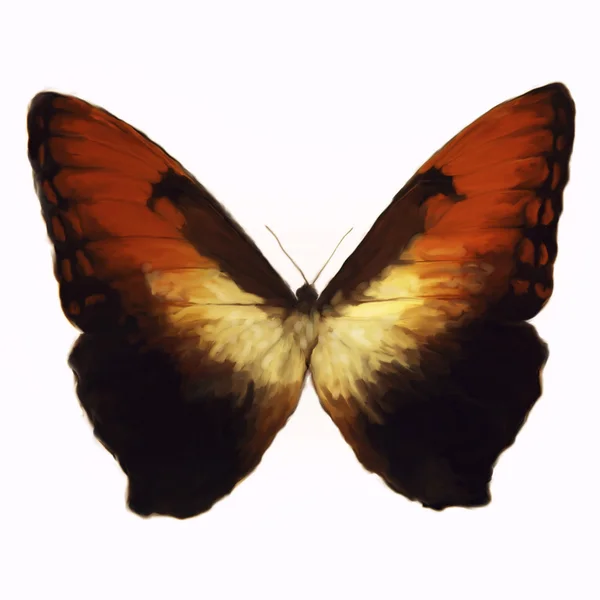 Pintura digital de una mariposa — Foto de Stock