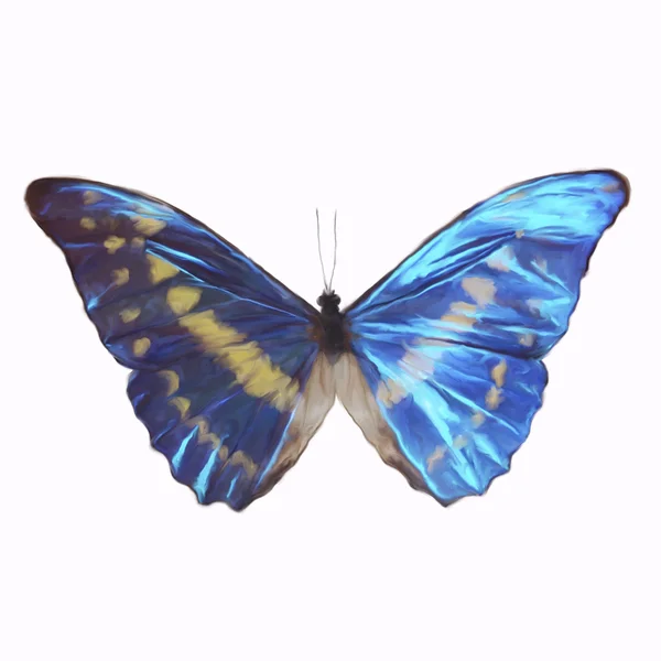 Bir kelebeğin dijital boyama — Stok fotoğraf