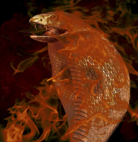 Пламенная кобра — стоковое фото