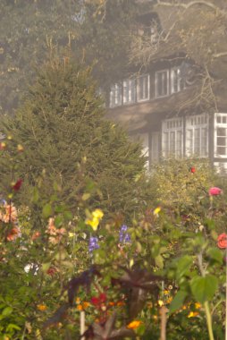 Çiçek Bahçesi sabah