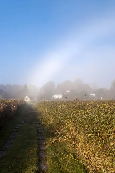 Rainbow — Stock Photo, Image