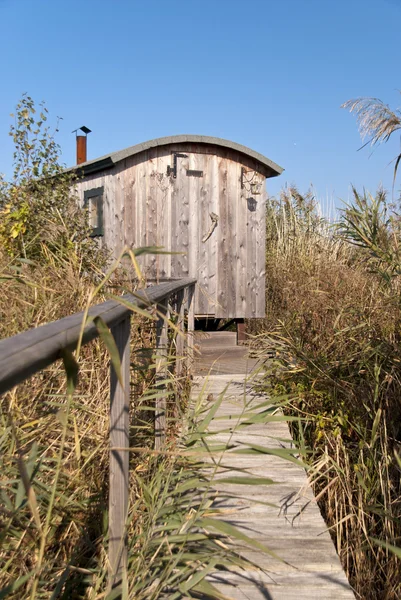 Sauna — Stockfoto