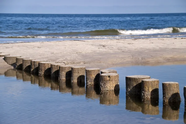 Stranden i darss, Tyskland — Stockfoto