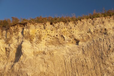 ahrenshoop kıyıları