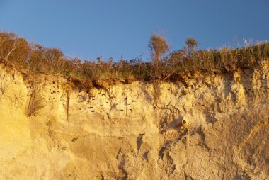 ahrenshoop kıyıları