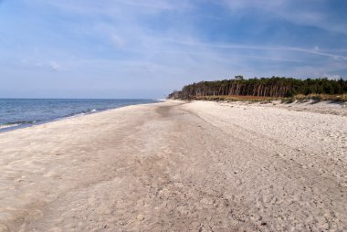 Beach, darss - weststrand