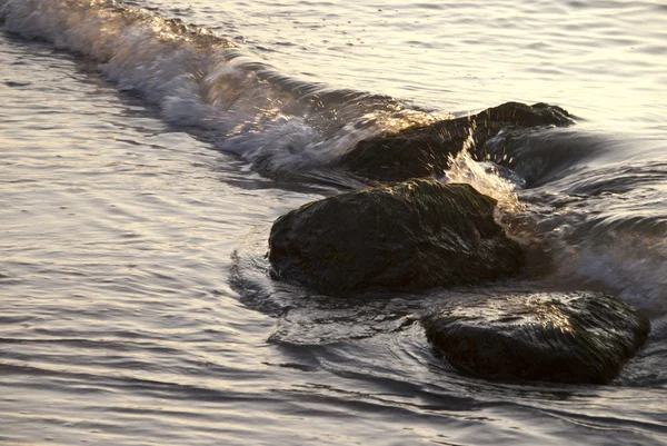 Costa de Ahrenshoop — Foto de Stock