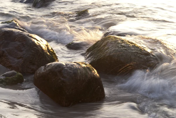 Coast of Ahrenshoop — Stock Photo, Image