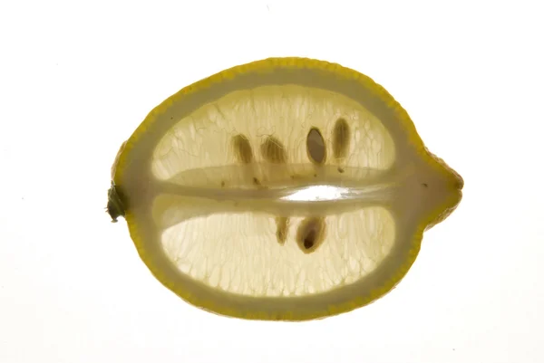 Lemon Slice — Stock Photo, Image