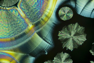 askorbik asit microcrystals