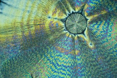 askorbik asit microcrystals