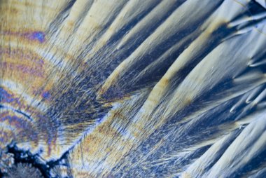 askorbik asit microcrystals