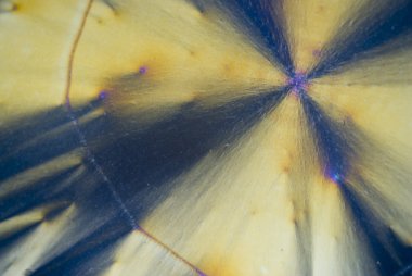 askorbik asit microcrystals