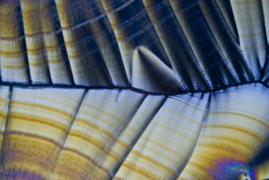 askorbik asit microcrystals