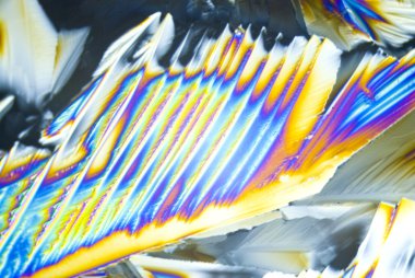 microcrystals sitrik asit