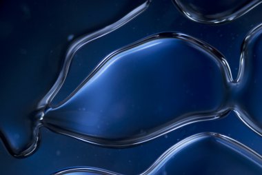 tutkal mikro fotoğraf