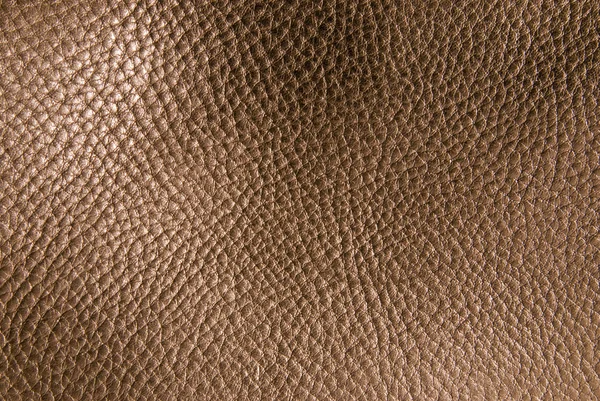 Leather — Stock Photo, Image