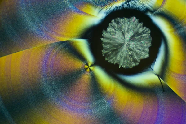 Askorbik asit microcrystals — Stok fotoğraf