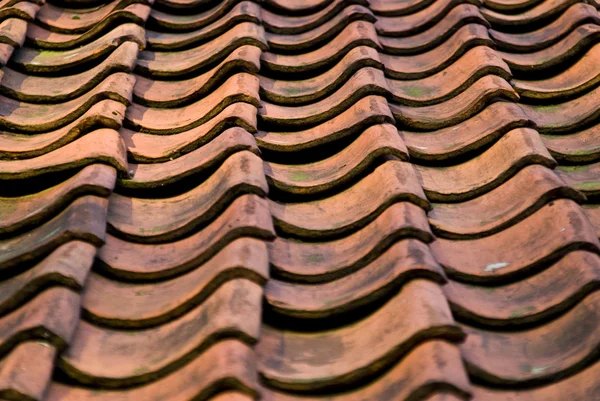 Roof Tiles — Stock Photo, Image