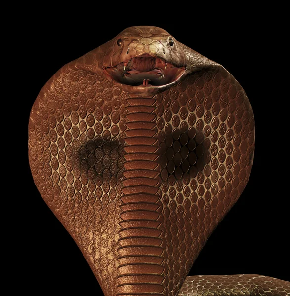 Ilustração de Cobra — Fotografia de Stock