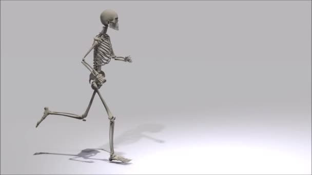 Running Skeleton — Stock Video