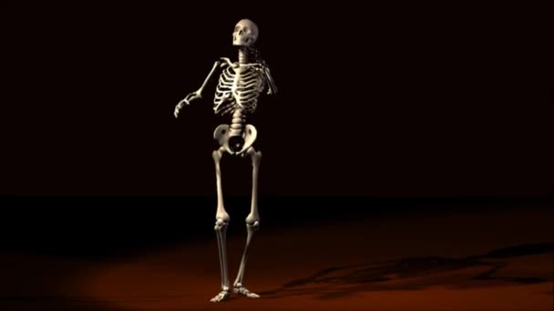 Esqueleto posante — Vídeo de Stock