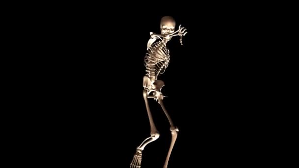 Posando esqueleto — Vídeo de stock