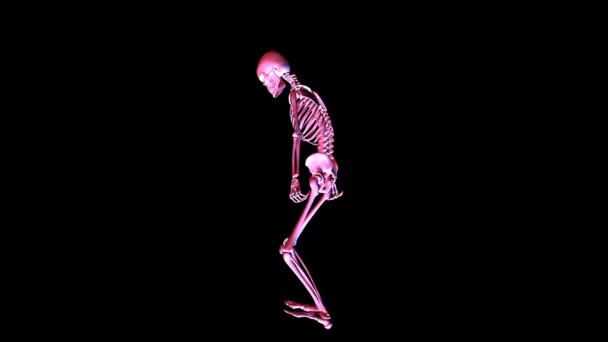 Poserar skelett — Stockvideo