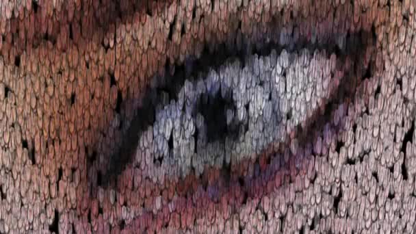 融化的眼睛 — 图库视频影像