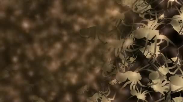 Spooky spindlar animation — Stockvideo