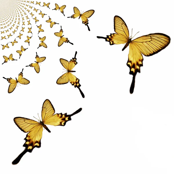 Kaleidoscopic Butterflies Illustration — Stock Photo, Image