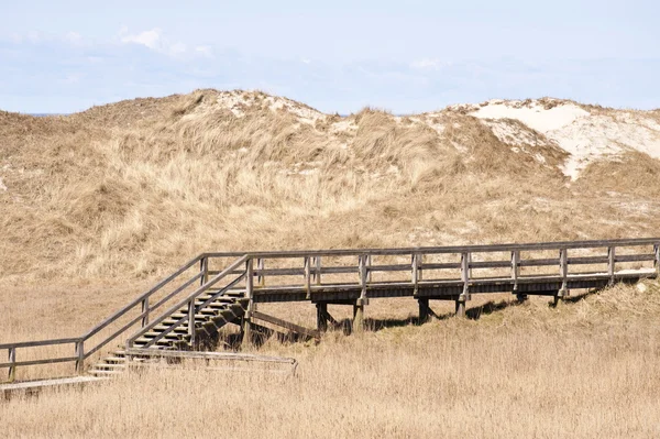 ドイツ ザンクト ピーター オルディングの砂丘の風景 — ストック写真