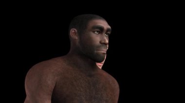 Homo erectus animasyon