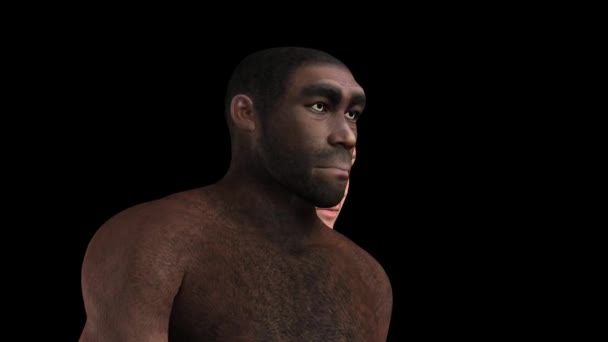 Homo erectus animasyon — Stok video