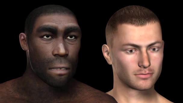 Homo erectus-Animation — Stockvideo