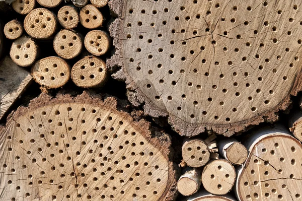 Detail eines Insektenhotels — Stockfoto