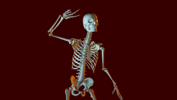 Dansende skelet animatie — Stockvideo