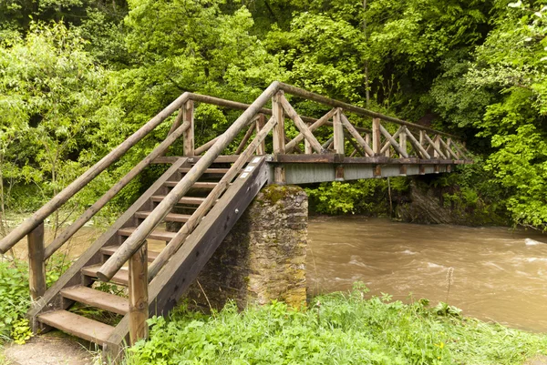 Auf dem Wanderweg Eifelsteig — Stockfoto