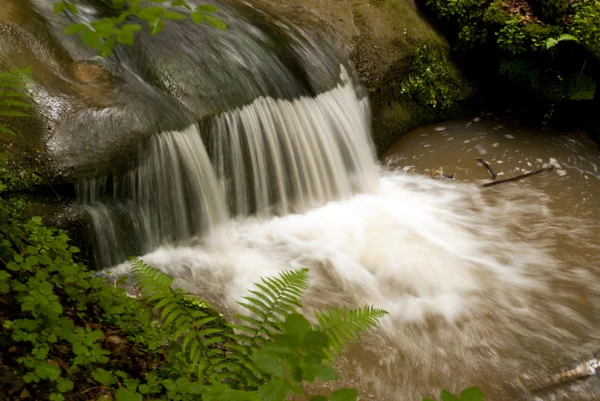 Op de Wandelweg Eifelsteig — Stockfoto