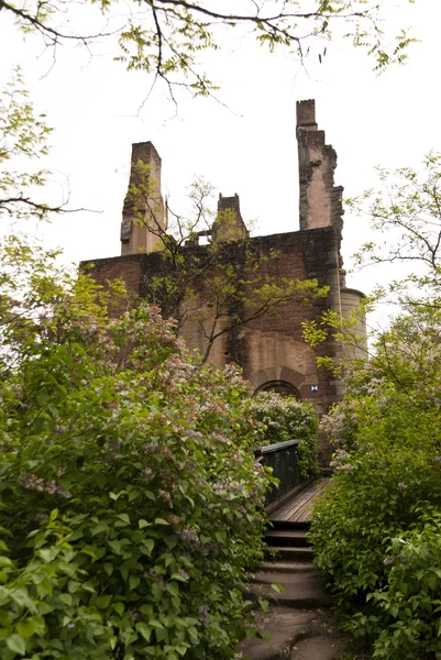 Ruina medievală a castelului Ramstein — Fotografie, imagine de stoc