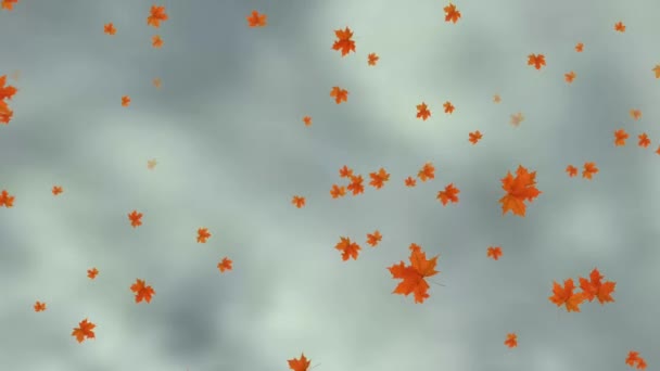 Animation Feuilles Tombantes — Video