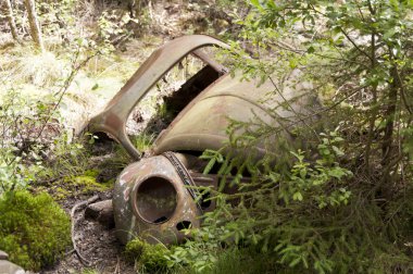 kirkoe yosun çöplükte araba