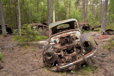 kirkoe yosun çöplükte araba