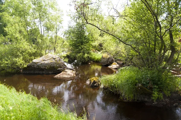 스웨덴에 있는 강 — 스톡 사진