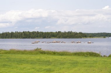 Lake asnen İsveç'te