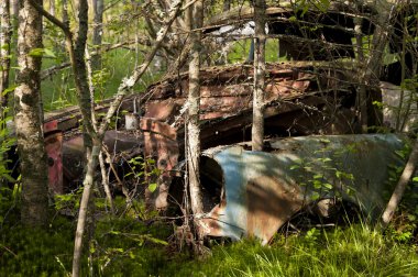 kirkoe yosun çöplükte araba